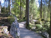 Wanderung durch den Zauberwald