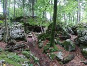 Schöne Wanderwege am Plombergstein