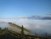 Blick zurück auf die unter uns liegende Wastlhöhe