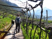 Wunderbar angelegte Waalwege im Etschtal