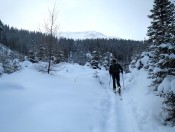 Blick auf den Zitterauer Tisch