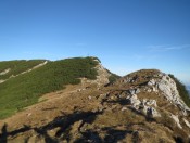 Der Gipfel vom Zwiesel (1782m)