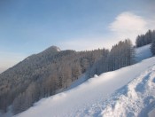 Wir erblicken schon den Gipfel des Zwölferhorns