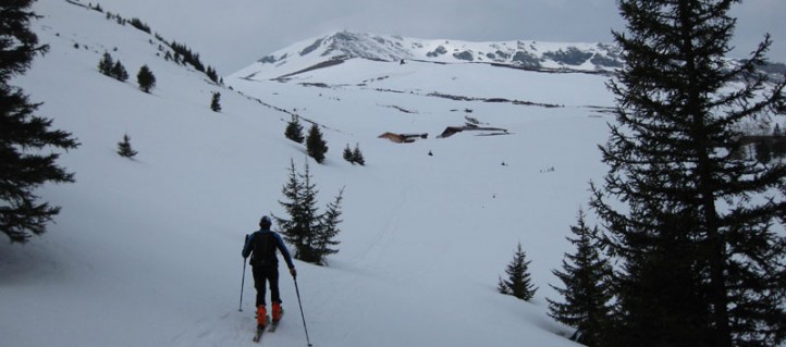 Blick auf den Kalkbretterkopf (Breitfeldkogel) und die Gadaunerer Hochalm