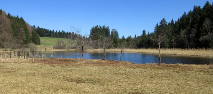 Wanderung am Egelsee im Salzkammergut