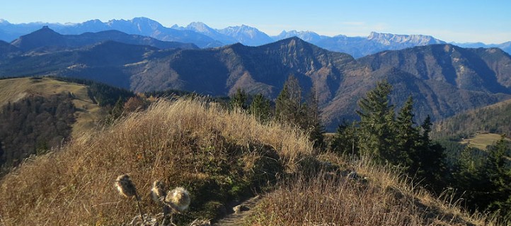 Herrliche Aussicht vom Faistenauer Schafberg