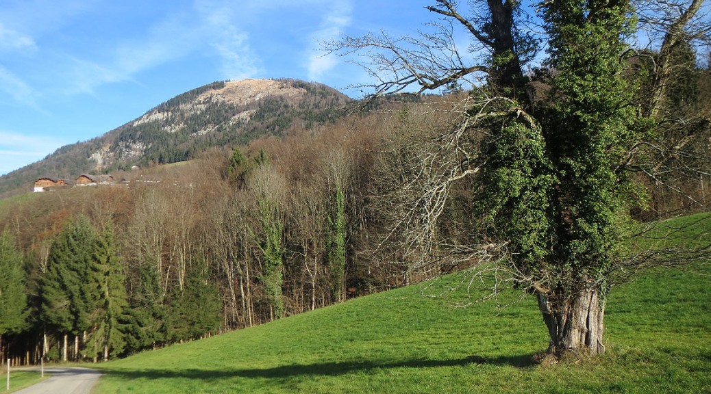 Von den Gaisberg Wanderwegen hat man tolle Ausblicke auf die Stadt Salzburg