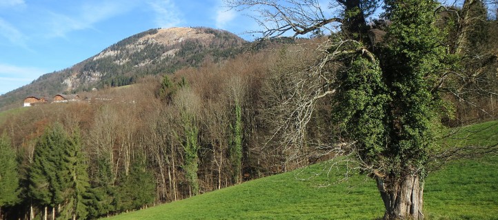 Von den Gaisberg Wanderwegen hat man tolle Ausblicke auf die Stadt Salzburg