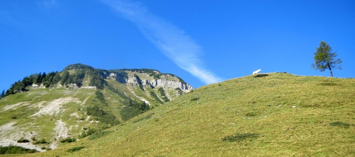 Von der Genneralm blicken wir auf das Gennerhorn