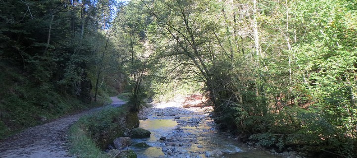 Wandern durch die Glasenbachklamm