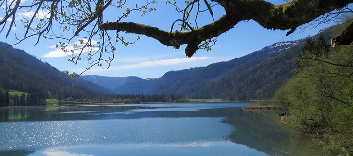 Wandern rund um den Hintersee im Salzburger Land