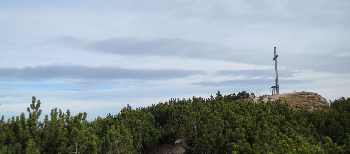 Der Gipfel vom Karkopf im Lattengebirge