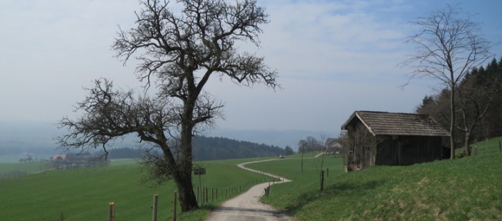 Wanderung Naturpark Buchberg