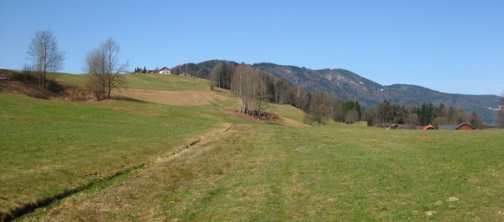 Der Anstieg auf den Kolomannsberg