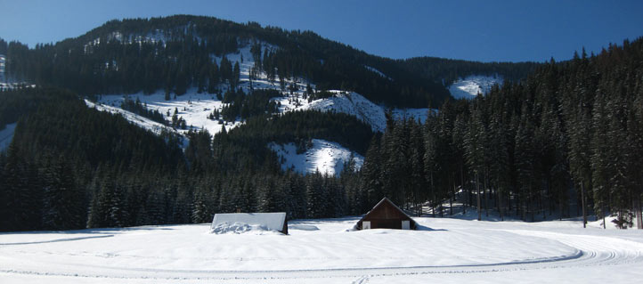 Langlaufen in der Ramsau bei Eisenerz