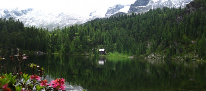 Reedsee und die Tischlergruppe im Hintergrund