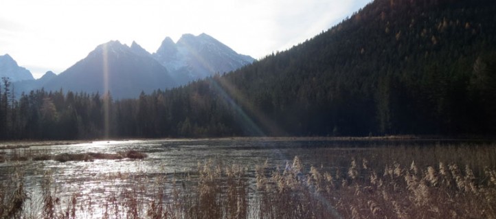 Wanderung mit dem Kinderwagen zum Taubensee