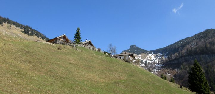 Wanderung zur Tenneralm in den Salzkammergut Bergen