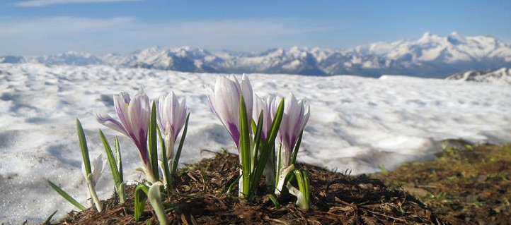 Blick vom Klingspitz auf die Hohen Tauern