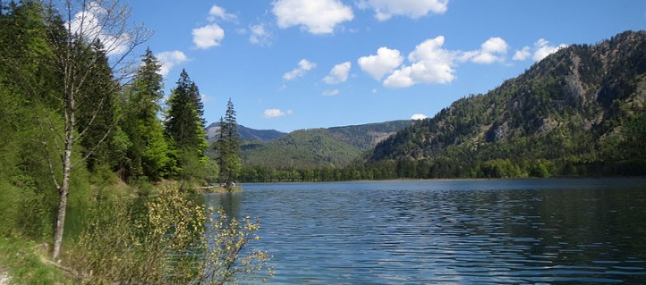 Wanderung rund um den Offensee