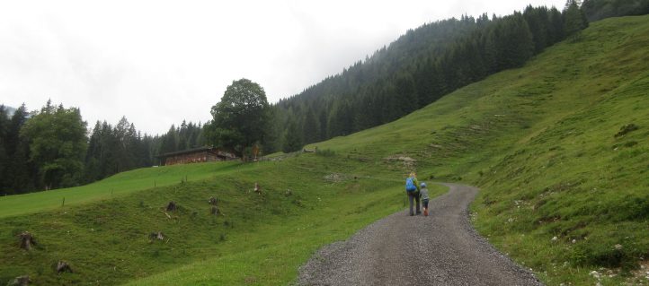 Wanderung zum Lammertaler Urwald